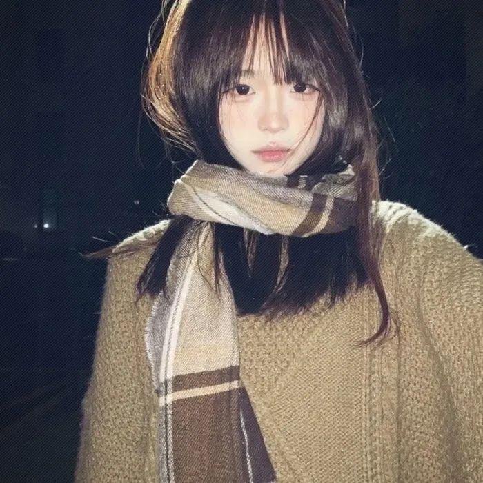 秘密森林封面