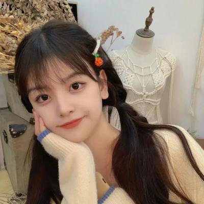 鳄鱼藏尸日记封面